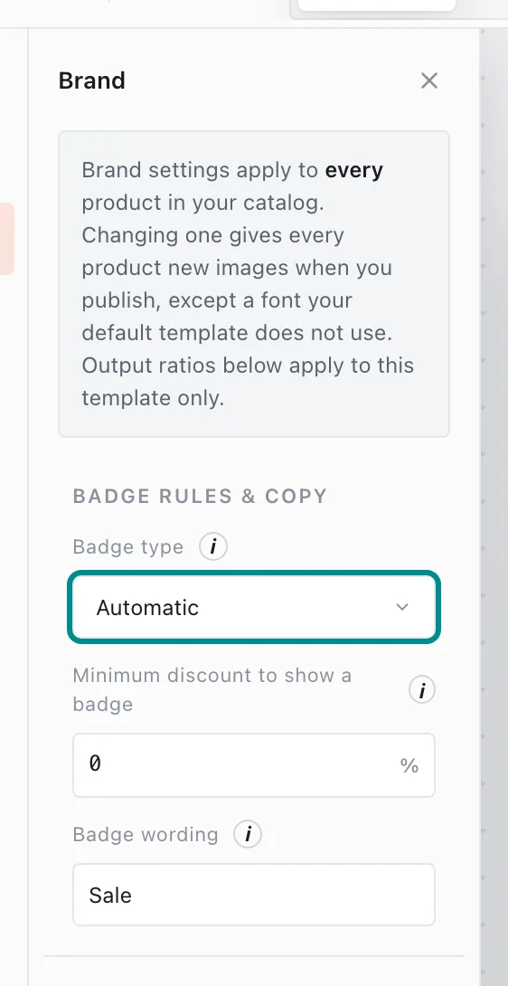 The Brand panel, with the Badge type field marked.